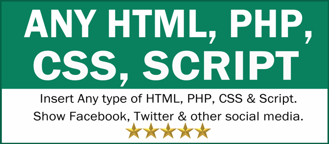 Any HTML, PHP, CSS, Script
